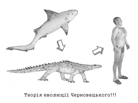 Черновецький